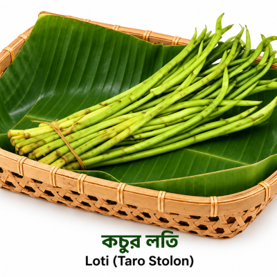 Loti (Taro Stolon)